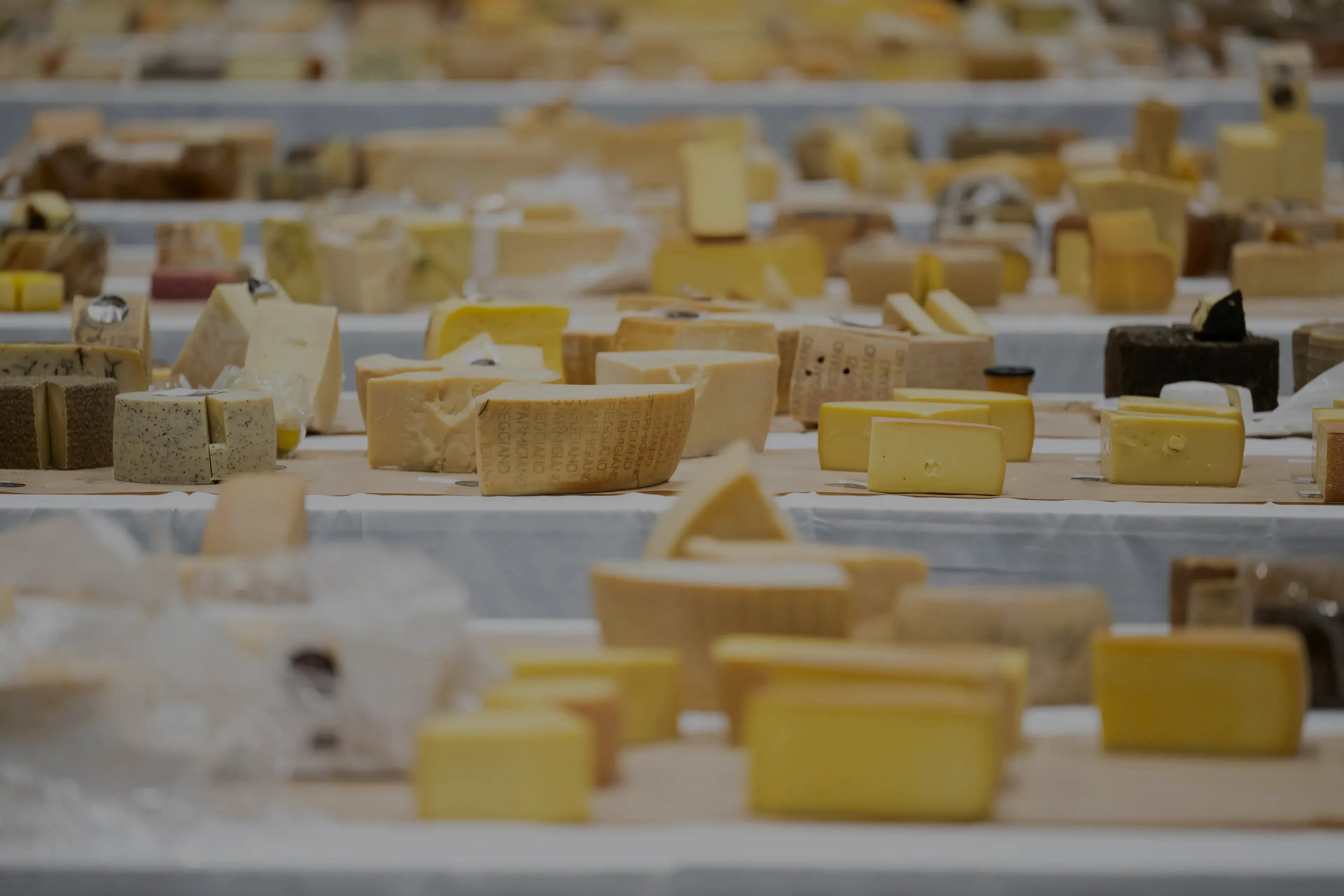 World Cheese Awards 2025