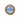 KOCH五本花